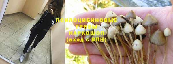 индика Нязепетровск