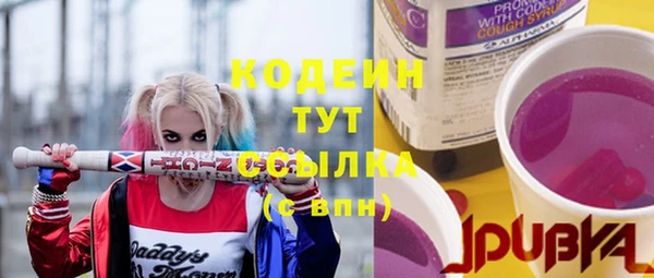 винт Няндома