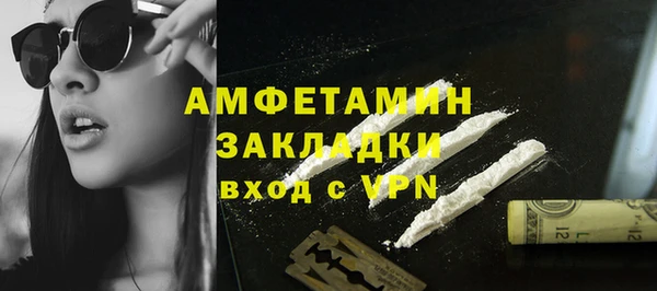 индика Нязепетровск