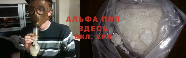 индика Нязепетровск