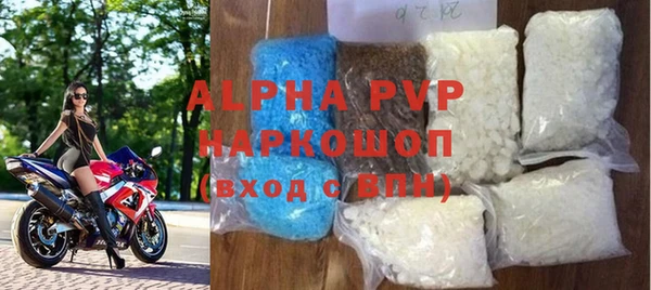индика Нязепетровск