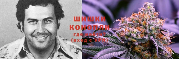 индика Нязепетровск
