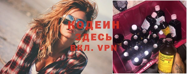 индика Нязепетровск