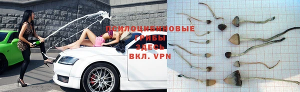 винт Няндома