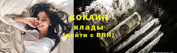 индика Нязепетровск