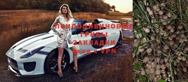 индика Нязепетровск