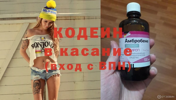 индика Нязепетровск